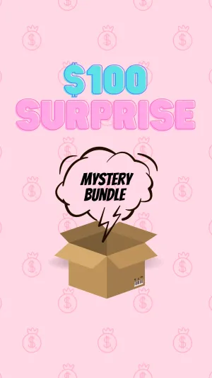 $100 Surprise Mystery Box