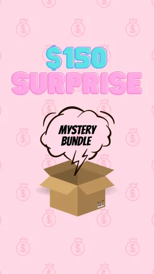 $150 Surprise Mystery Box