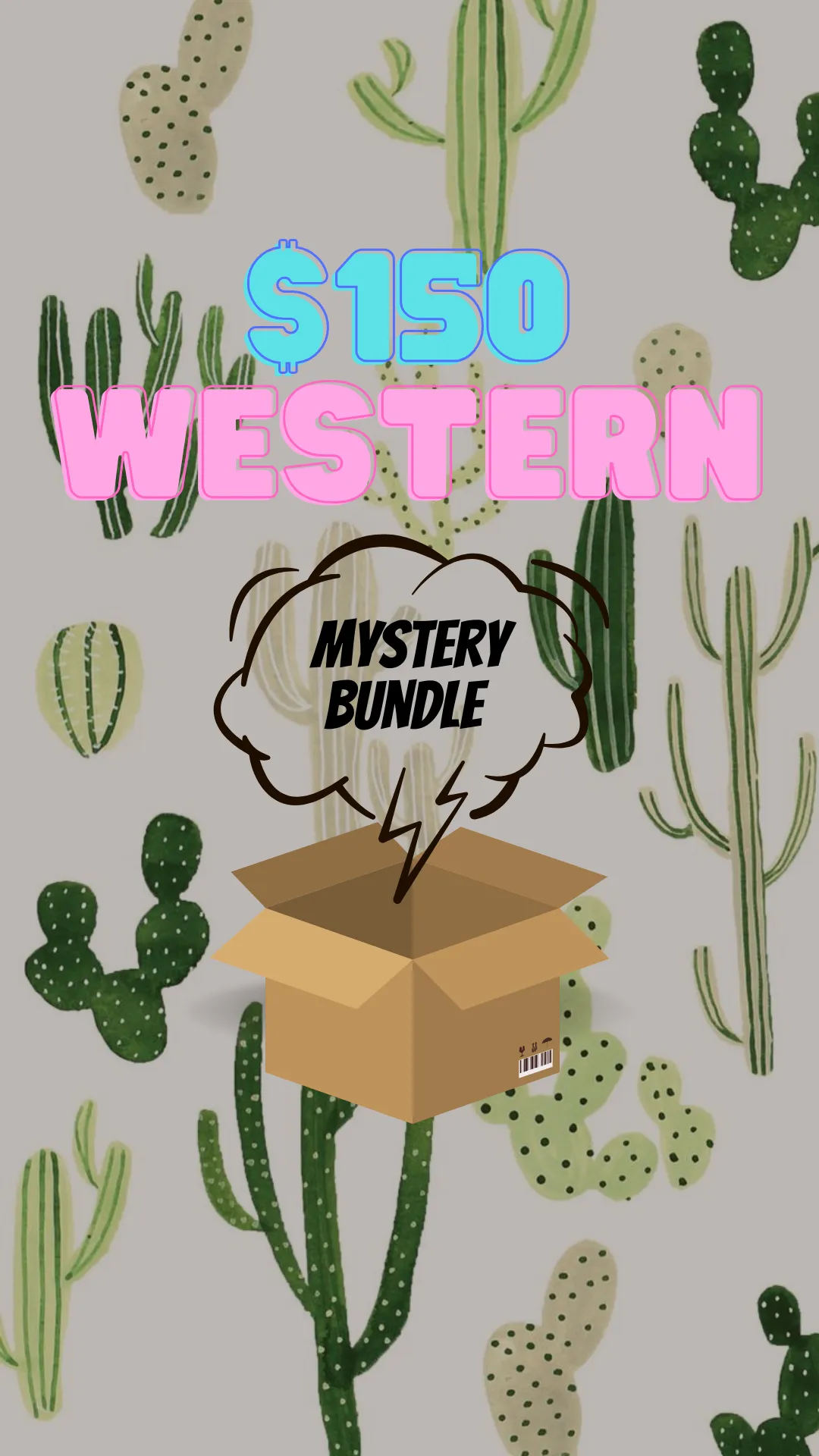 $150 Western Mystery Box