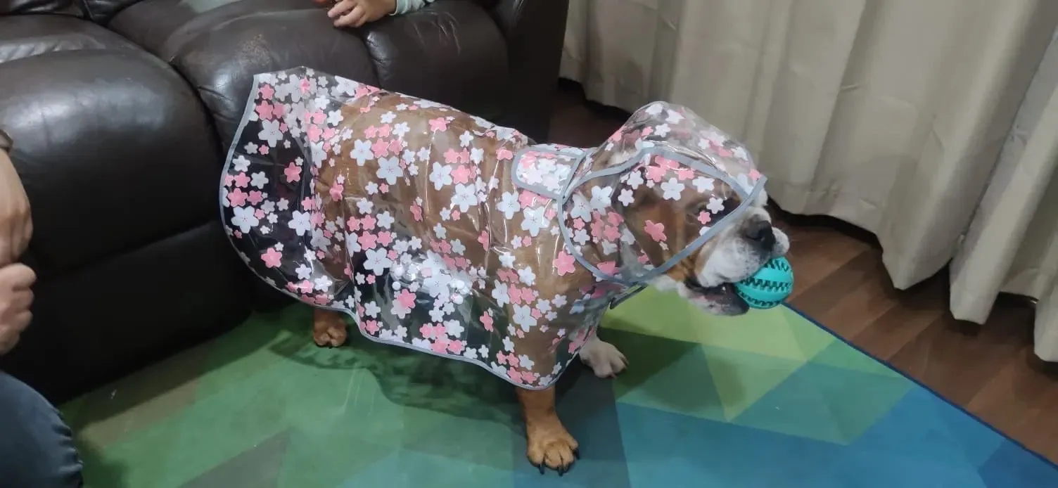 Floral Rain Jacket - Pink