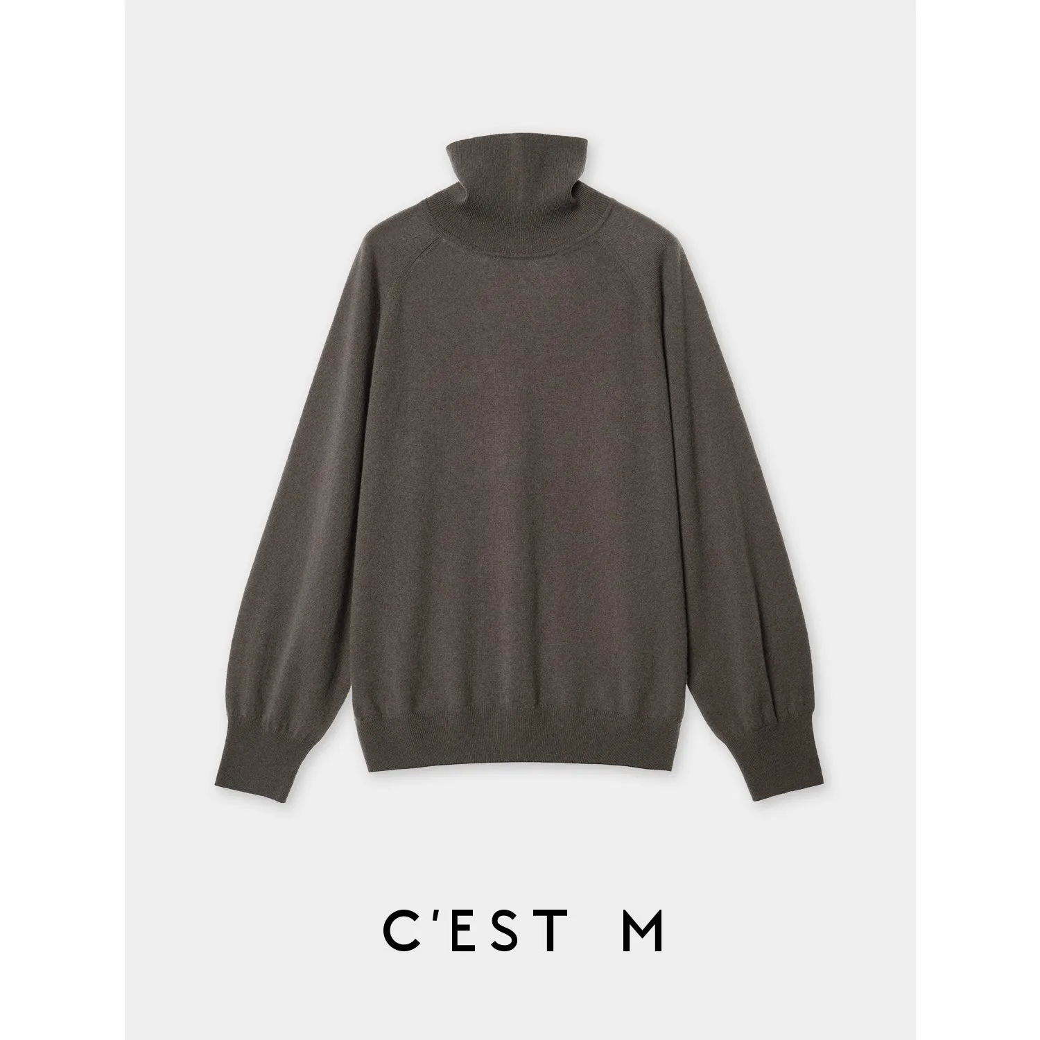 Oversized Turtleneck Sweater