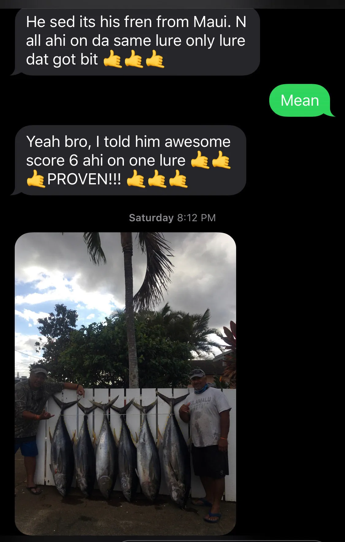TOP CHOICE! 7" Ali'i Fish Series: Da Amaebi