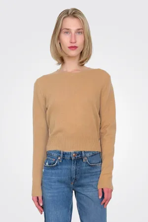 Womad Little Crew Cashmere Sweater - Camel